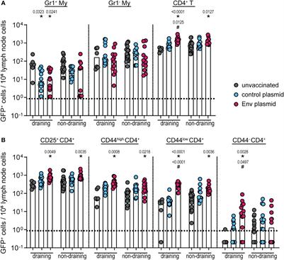 Immune suppression of vaccine-induced CD8+ T-cell responses by gamma retrovirus envelope is mediated by interleukin-10-producing CD4+ T cells